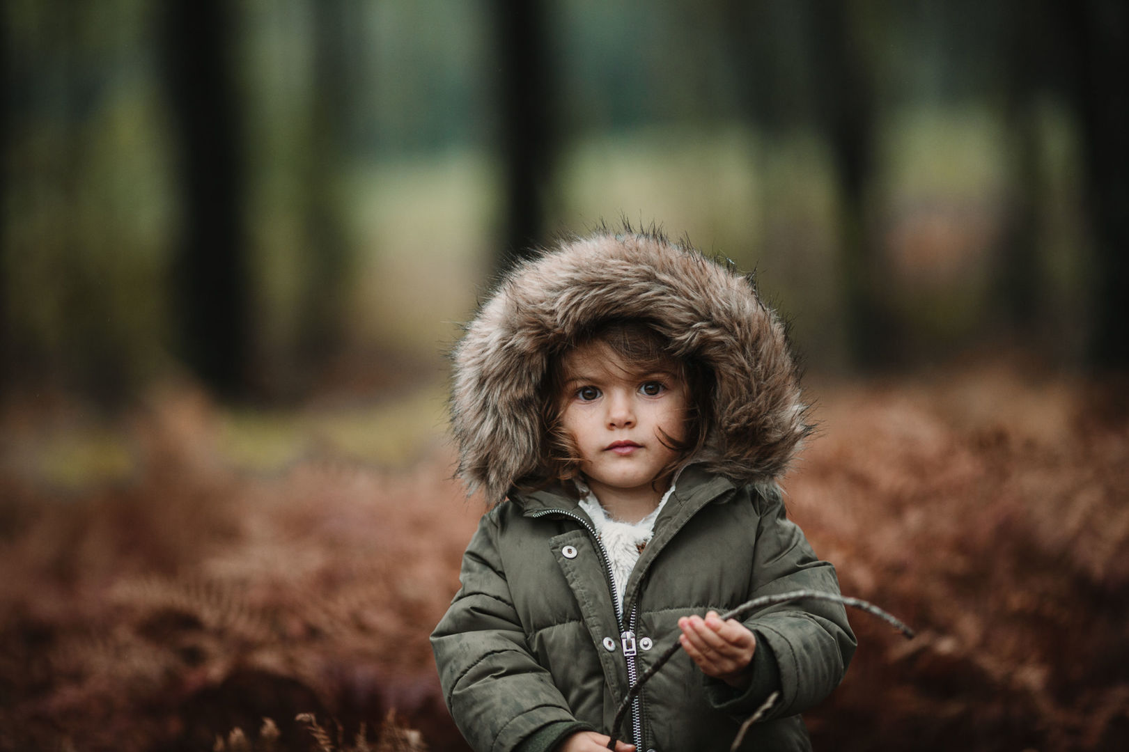 Foto Francesco is coming - Imagem 9