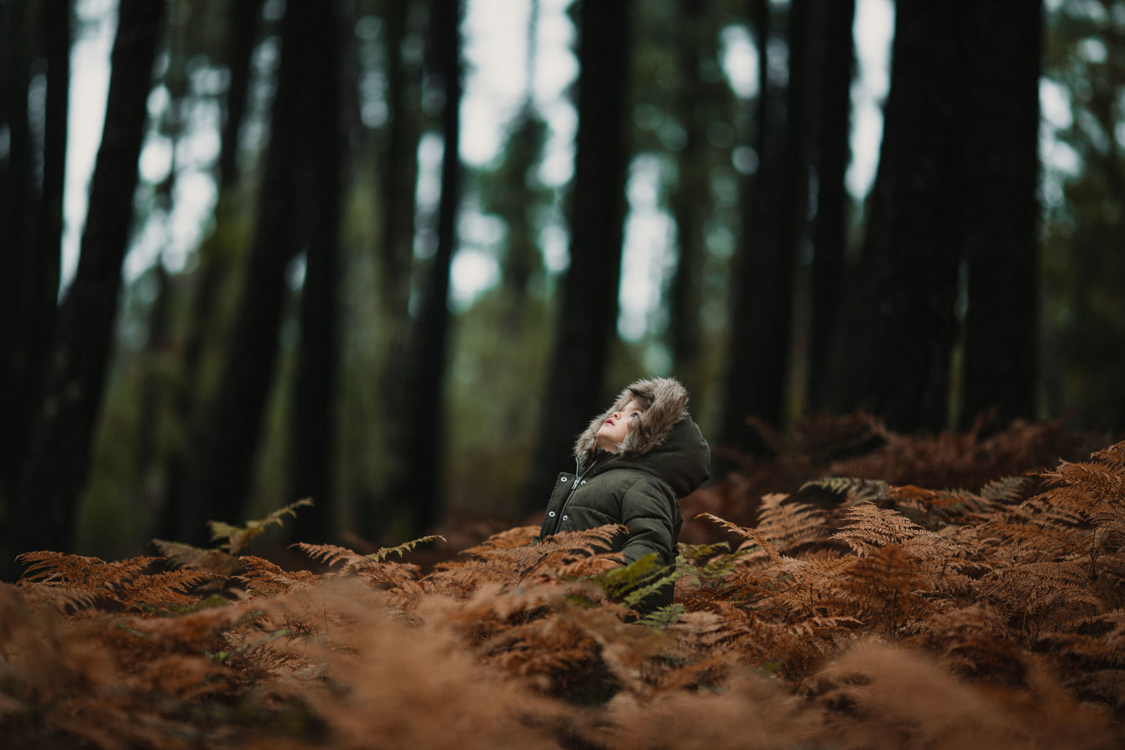 Foto Francesco is coming - Imagem 10