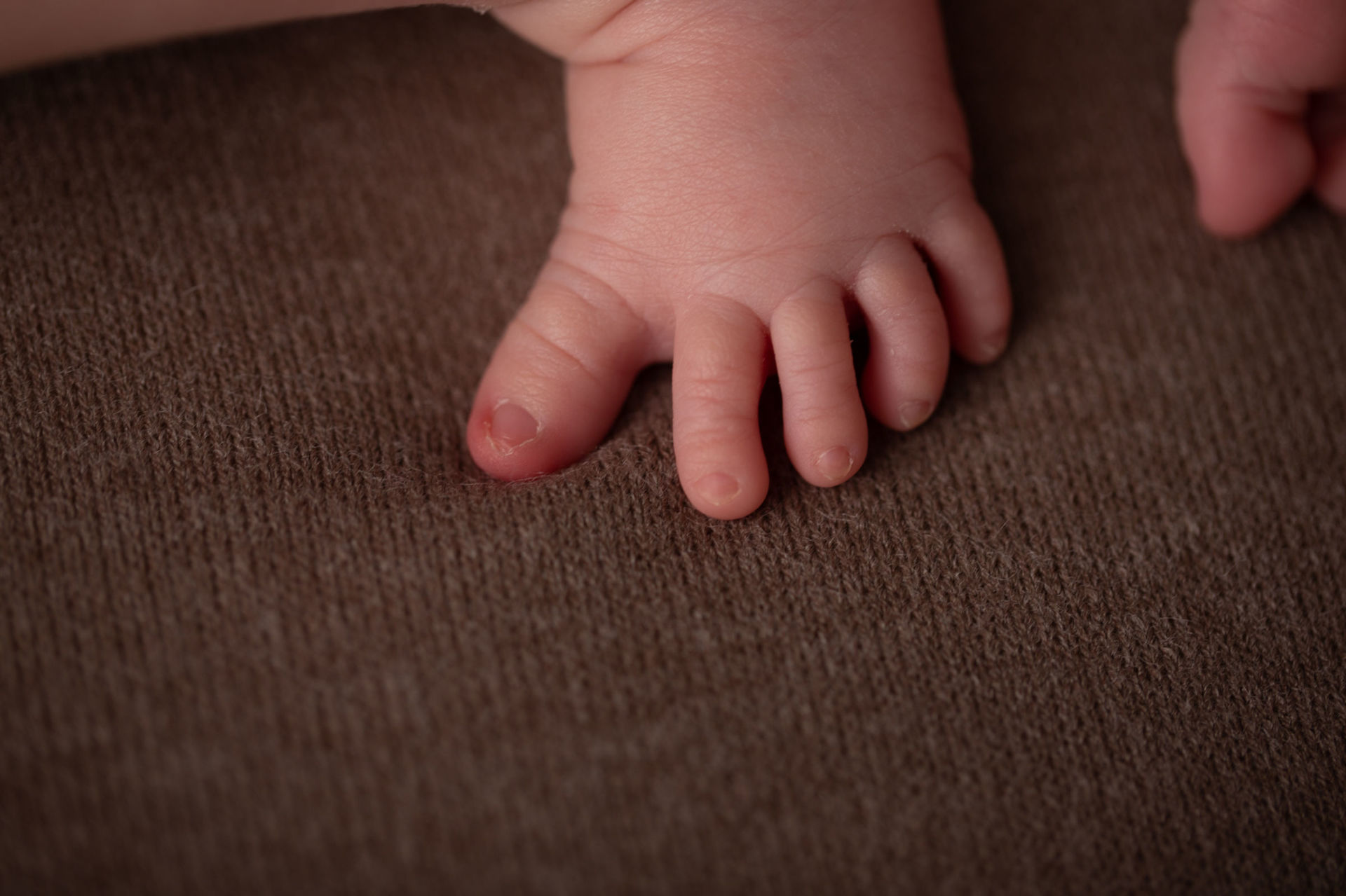 Foto Sessão fotográfica recém nascido - Imagem 7