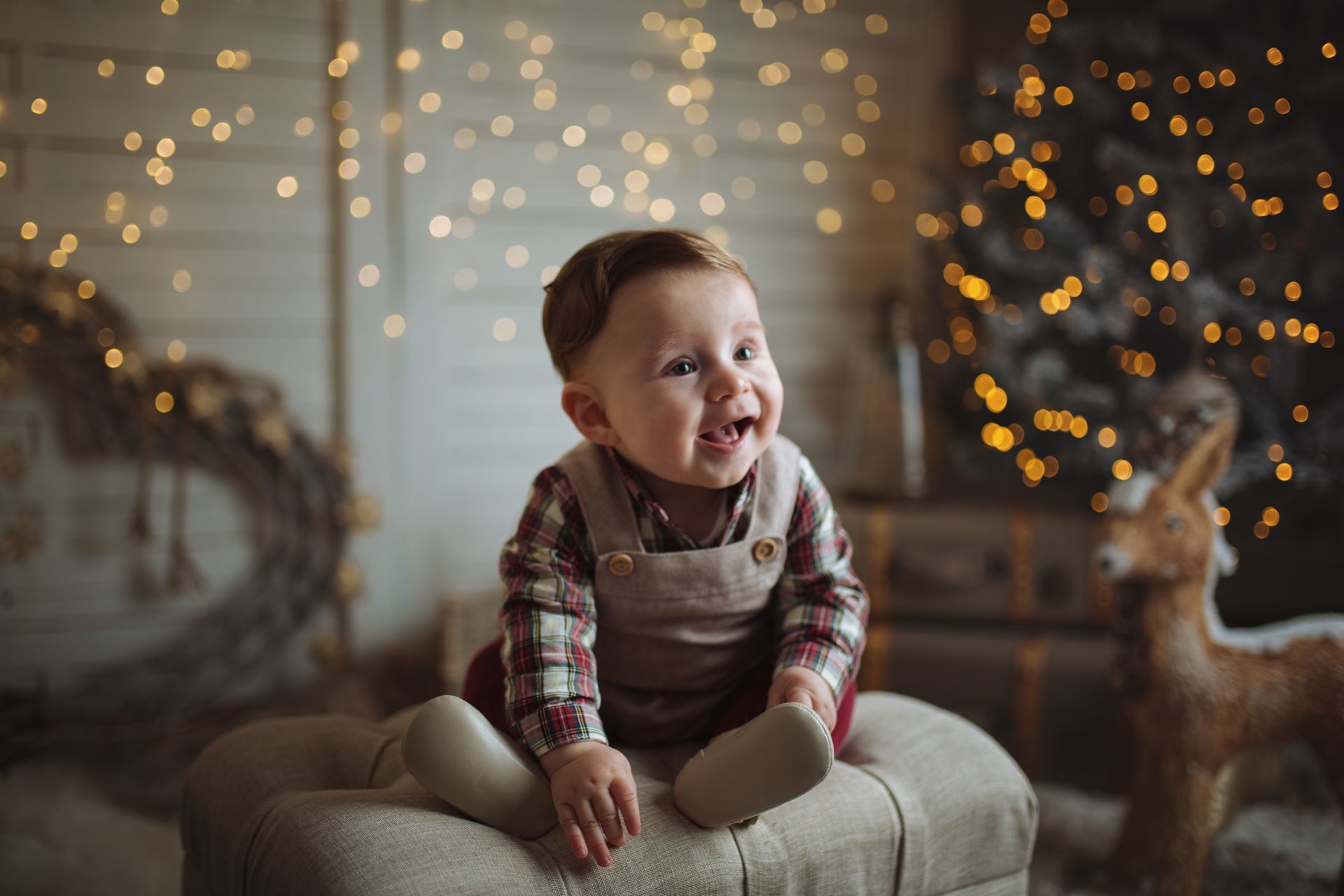 Foto Sessões fotográficas de Natal - Viseu - Imagem 3